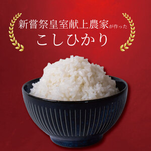 【令和8年産】3回定期便 こしひかり 新米 5kg  精米 AS017