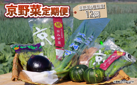 【野菜 定期便12か月】選りすぐり京野菜 旬の野菜定期便12ヶ月 野菜定期便