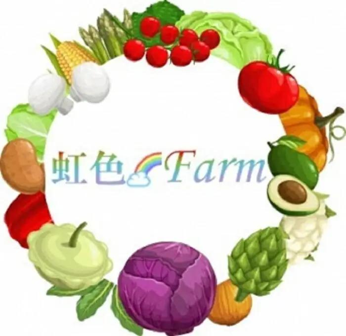 ＜3回定期便2026年7～9月発送＞【先行予約特典付き】賀茂茄子（京野菜）6個 約1.5kg×3回 ｜ 野菜