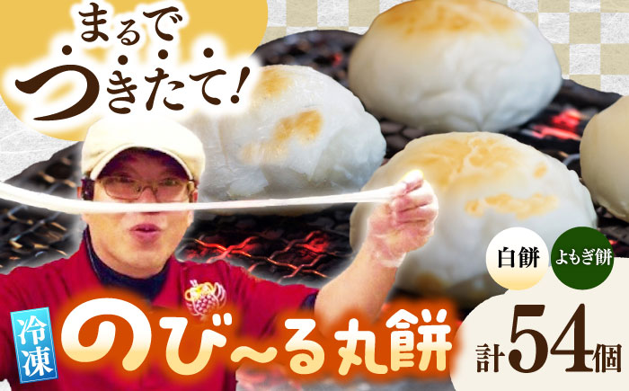 【手作りつきたて急速冷凍】佐賀県産もち米100%自慢の杵つき丸白餅30個＆粒あん入よもぎ餅24個セット(冷凍) / 佐賀県 / 山代ガス株式会社 旬菜舎 [41AABM032]
