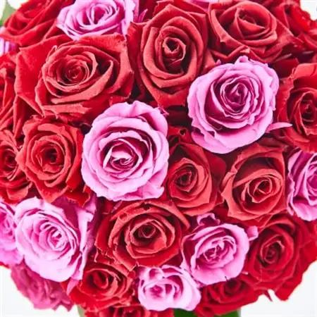 上質なバラを豪華にたっぷりと。プリザーブドフラワーアレンジメント「ローズロココ」_花・観葉植物 造花・プリザーブドフラワー 花 _【1578869】