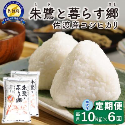 ふるさと納税 佐渡市 【毎月定期便】佐渡島産 朱鷺と暮らす郷(コシヒカリ) 無洗米10kg 特別栽培米　全6回