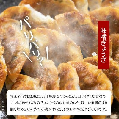 ふるさと納税 碧南市 居酒屋のおかあちゃん手作り　パリパリひと口ぎょうざともちもち餃子セット 合計80個　H136-039 |  | 01