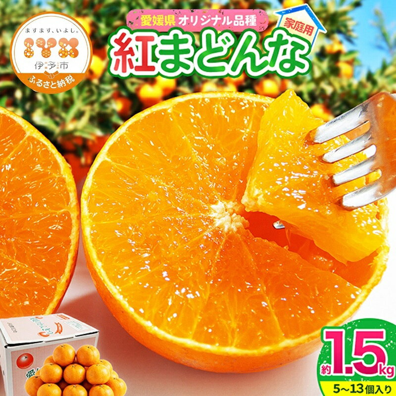 【ふるさと納税】【2026年先行予約】紅まどんな 愛媛 ご家庭用 1.5kg （5～13個）【数量限定】愛果28号 愛媛果試第28号 みかん 柑橘 人気 愛媛 伊予市＜2026年11月下旬～順次発送＞｜B249