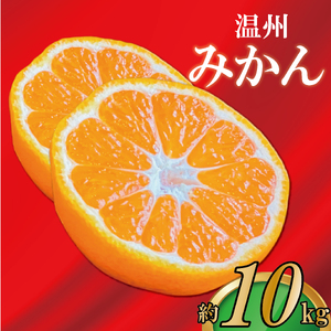 極撰 温州みかん 約10kg みかん 【2026年11月上旬より順次発送】
