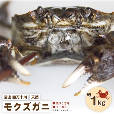 ふるさと納税 四万十市 濃厚な旨み!清流四万十川・天然モクズガニ 約1kg(大小混合)