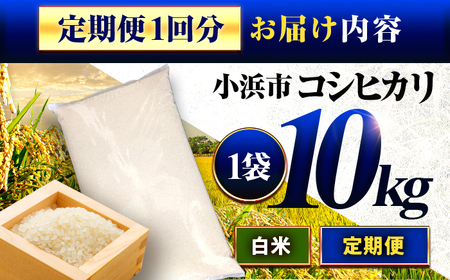 【3か月連続発送】小浜市産コシヒカリ 精米 10kg 若狭の自然が育てたごはん 国産米 福井県 / 白米 新米 地域密着 米問屋 小浜市 / 梅田東米穀店[BFEK015]