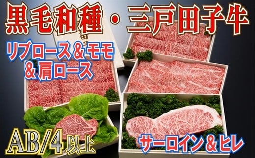 「三戸田子牛」豪華セット 合計3kg【黒毛和牛A4・B4等級以上】