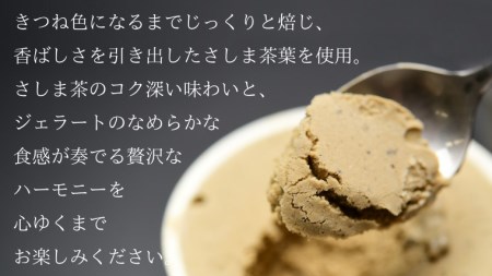 ジェラート ほうじ茶 5個セット ジェラート 松田製茶
