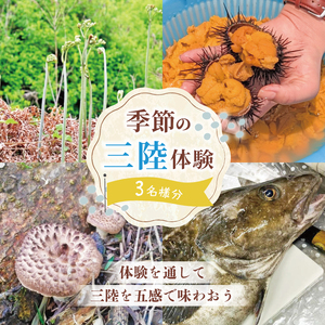 季節の三陸体験 体験チケット (3名様分/1体験) 三陸アクティブ 三陸 大船渡 大船渡市 体験 体験チケット チケット 夏休み 冬休み 春休み うに ウニ 山菜 山菜取り キノコ きのこ きのこ狩り キノコ狩り 鱈 たら タラ 季節 自然 旬