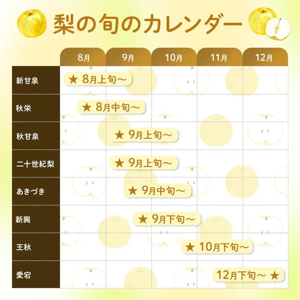 数量限定 鳥取県産梨 秋甘泉（あきかんせん） 5kg（8～12玉）