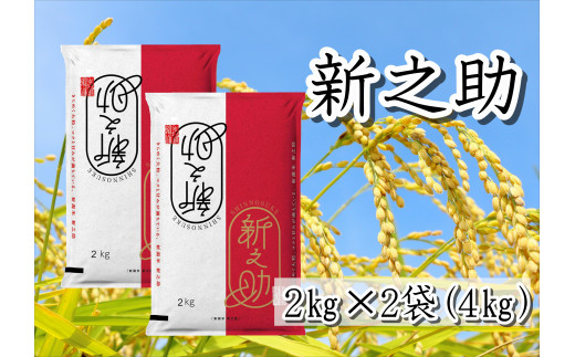 【令和7年産】 新之助 4kg (2kg×2袋) 白米 精米 井上米穀店 新潟県 米 こめ コメ 1I15016
