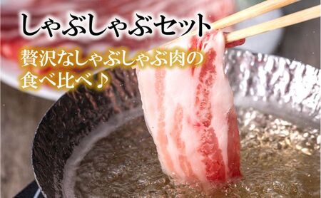 湘南豚　ロース・バラしゃぶしゃぶセット　※2025年2月から順次発送 【神奈川県産豚】 豚肉 ロース 薄切り バラ しゃぶしゃぶ 国産 肉 ポーク 冷凍　人気 おすすめ 藤沢市