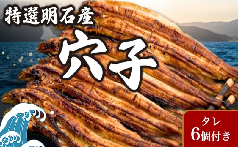 特選明石産炭焼き穴子（タレ6個付き）