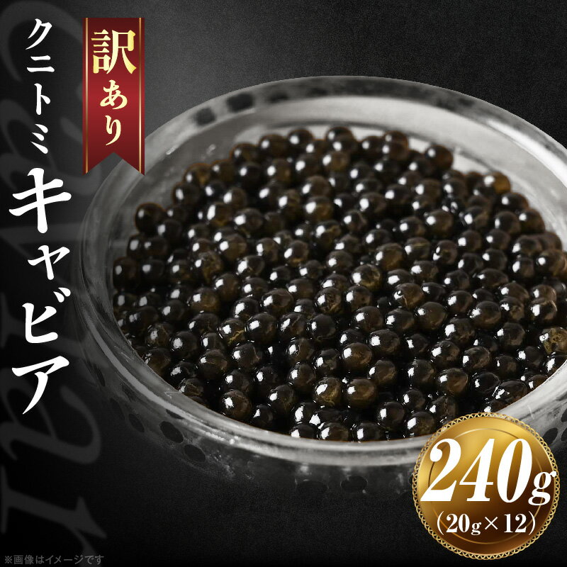 【ふるさと納税】【訳あり】クニトミキャビア 240gセット(20g×12)