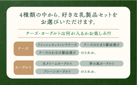 福袋お楽しみ乳製品セット 【ヨーグルト＆チーズ】