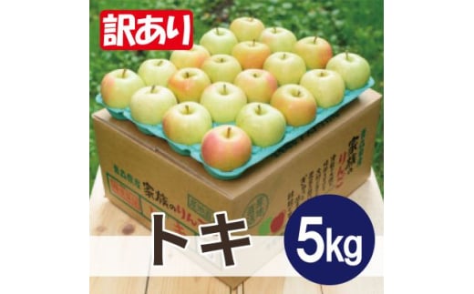 ＜2025年10月発送予定＞平均糖度12度以上! トキ 約5kg 訳あり【1606637】