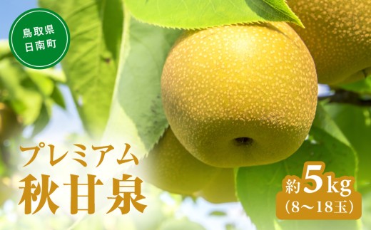 【令和9年産先行予約】プレミアム秋甘泉（あきかんせん） 5kg前後(8～18玉前後) 梨 なし 果物 日南町 高間商店