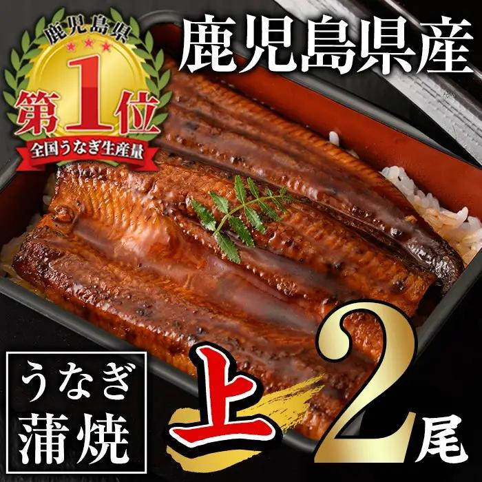 無投薬 鹿児島県産 うなぎ 蒲焼 セット＜上＞(合計280g以上・ 140g以上×2尾)  タレ・山椒付き 鰻 【西日本養鰻】A60-v01