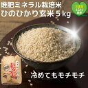 【ふるさと納税】【令和6年産米ができました】「ひのひかり」玄米 5kg ヒノヒカリ 奈良県 三宅町 おいしい 冷めても モチモチ