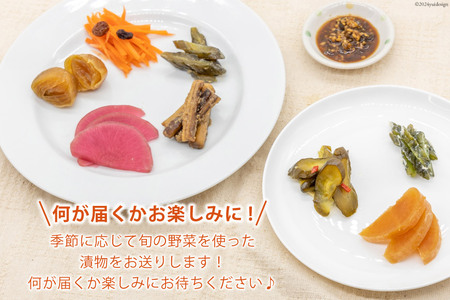 無添加 減塩 手作り 漬物 4種 食べ比べ セット