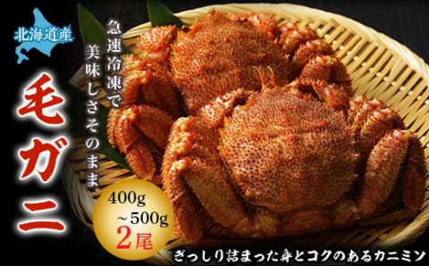 【ボイル済み急速冷凍】身がぎっしりと詰まった毛ガニ2尾セット(400g～500g×2尾)【配送不可地域：離島】