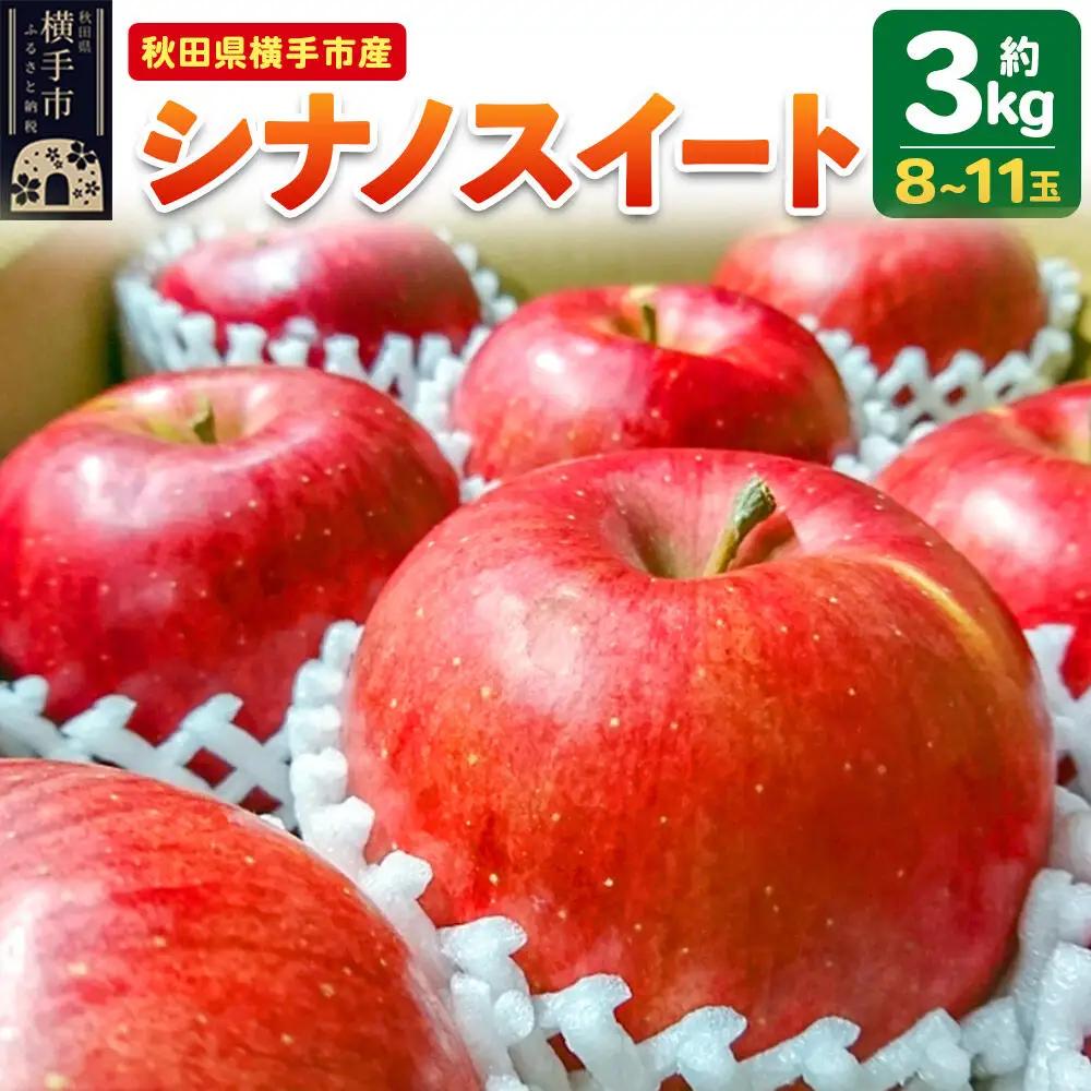 【先行受付 10月下旬より発送】りんご シナノスイート 約3kg （8～11玉）