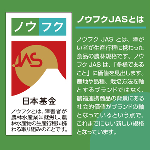 トマト 中玉 2kg シンディースイート はーとふるトマト 【 トマト 】