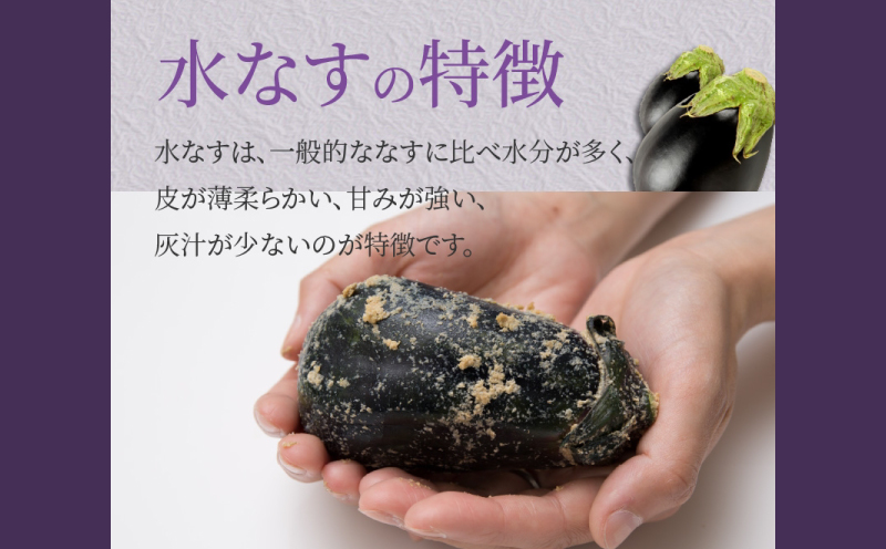 水なす浅漬け 5個 水なす染めタオルハンカチセット【新鮮 野菜 泉佐野産 茄子 やさい 高評価 数量限定】
