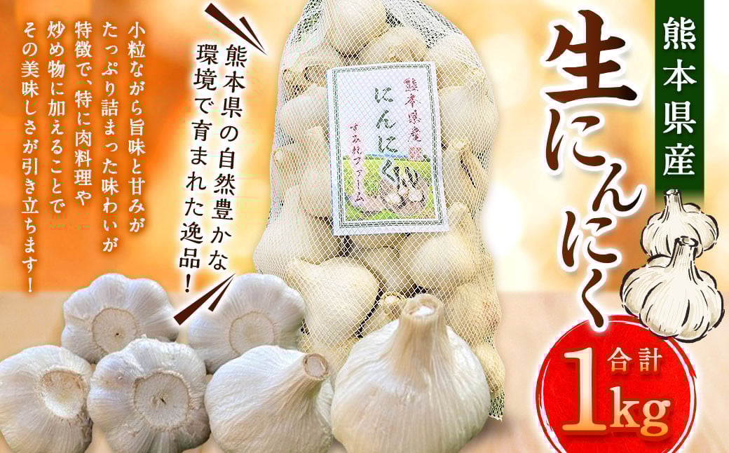 
            熊本県産 生にんにく 1kg 【2025年11月下旬発送開始】 にんにく ニンニク 生ニンニク 野菜 やさい 熊本県 常温
          