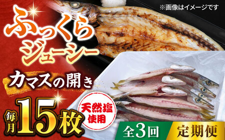 【全3回定期便】漁師町佐島 カマスの開き 15枚セット 干物 横須賀 【石川水産】[AKCX007]