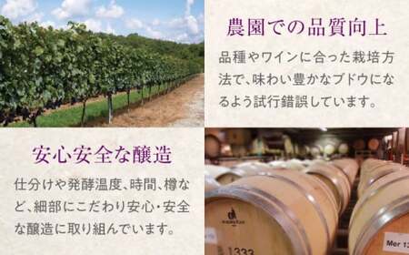 おすすめ 白ワイン 2本セット 霧里ワイン やや甘口 TOMOE デラウェア やや辛口 ワイン 受賞 飲み比べ ワインセット ギフト 三次市 / 広島三次ワイナリー[APAZ010]
