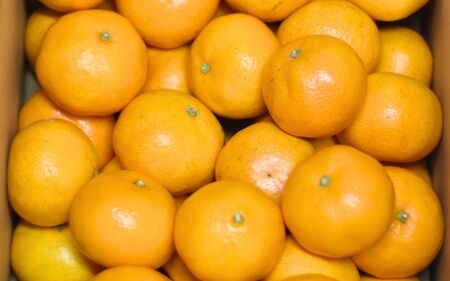 みかん 完熟熊野みかん 3kg【nkmr0009】