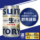 【ふるさと納税】【レビューキャンペーン】 高評価 サントリー 生ビール トリプル生 350ml (選べる 1箱 2箱 / 単品 定期便 ) ビール 缶ビール サントリー 24本 24缶 48本 48缶 お酒 酒 アルコール 贈り物 ギフト 群馬県 千代田町（クラウドファンディング対象）