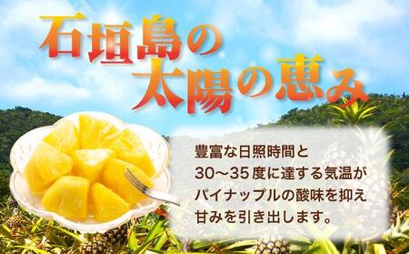 ＜先行予約＞ ハワイ種 パイナップル 4玉 ＜2026年6月発送＞ | 沖縄県 石垣市 石垣島産 パイン パイナップル ハワイ種パイナップル ZH-16
