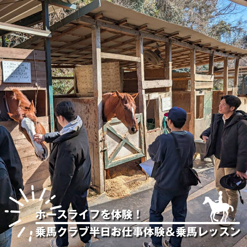 【ふるさと納税】ホースライフを体験！乗馬クラブ半日お仕事体験＆乗馬レッスン【 体験 レッスン 神奈川県 大磯町 】