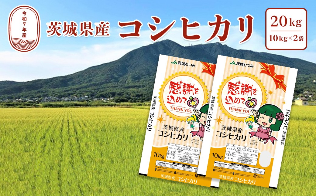 
                  【令和7年産】茨城県産 コシヒカリ20kg (10kg×2袋) 白米 JA茨城むつみ こしひかり K2087
                