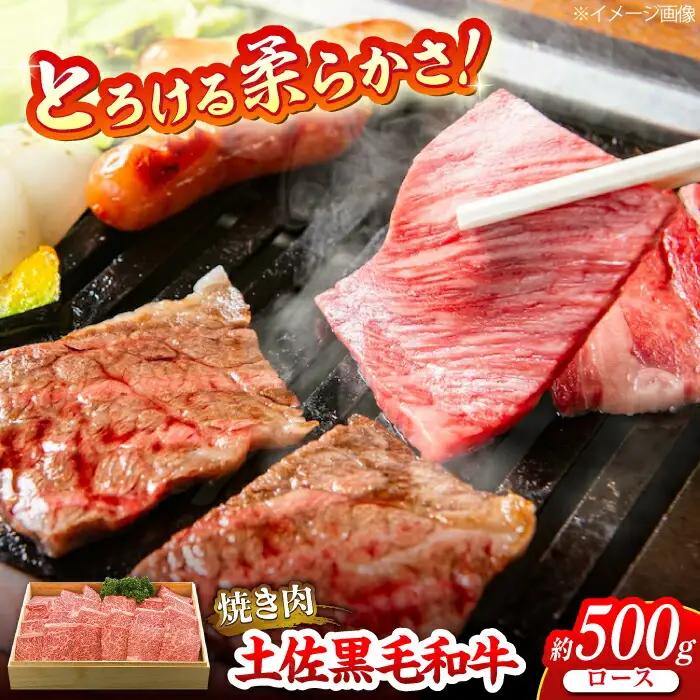 土佐黒毛和牛　ロース　焼き肉　約500g  / とろけるやわらかさ 和牛 高知県産 国産和牛 牛肉 黒毛和種  【（有）蔵多堂】[ATAE011]