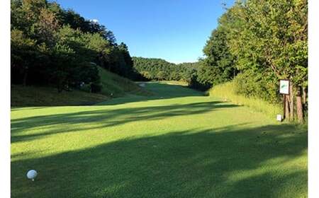 岐阜スプリングゴルフクラブ（ゴルフプレー割引券）50枚