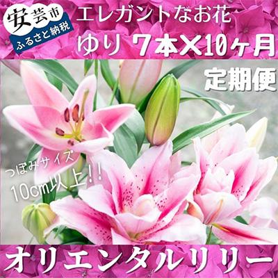 ふるさと納税 安芸市 【発送月固定定期便】ユリ(オリエンタルリリー)7本×全10回