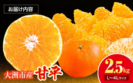  甘平 2.5kg 【2月下旬より順次発送】（Lから4Lサイズ）甘平 かんぺい[AGAR010]