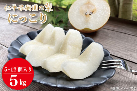 梨 にっこり 5kg 先行予約 2026年発送 仁平果樹園 益子町産 DB005