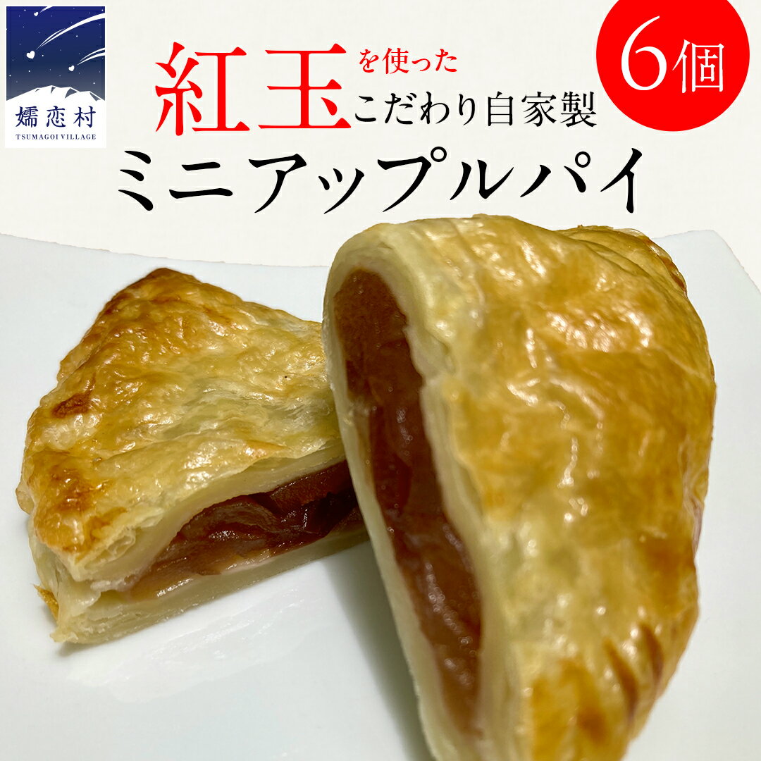【ふるさと納税】 Piggies特製 ミニ アップルパイ 6個 自家製 ケーキ パイ おやつ 焼菓子 焼き菓子 リンゴ スイーツ ホール お取り寄せ お菓子 洋菓子 りんご ギフト 贈り物
