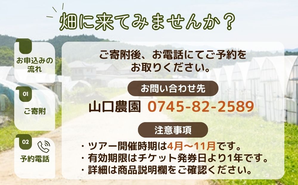 有機農業 就業体験 ツアー お土産付 10名様迄／ 収穫体験 種まき トラクター 農家 有機野菜 オーガニック 無農薬 SDGs 関西 チケット カレー 山口農園 奈良県 宇陀市 ふるさと納税