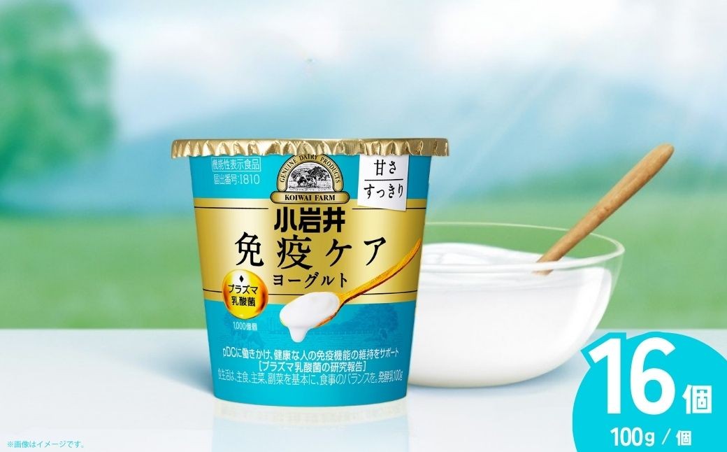 
                  ヨーグルト 免疫ケアヨーグルト甘さすっきり 小岩井乳業 100g×16個 | ヨーグルト よーぐると 免疫ケアヨーグルト 免疫ケアよーぐると 乳製品 発酵食品 機能性表示食品 プラズマ乳酸菌 免疫 免疫維持 埼玉県 狭山市
                