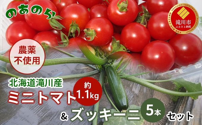 
            【栽培期間中農薬不使用】北海道滝川市産ミニトマト 約1.1kg&ズッキーニ5本セット
          