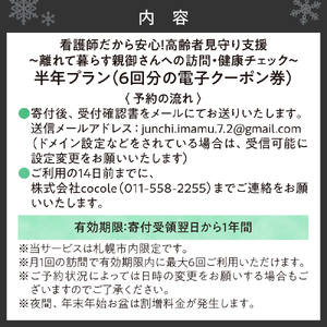 看護師だから安心！高齢者見守り支援〜離れて暮らす親御さんへの訪問・健康チェック〜半年プラン