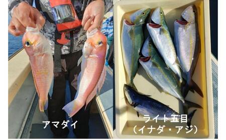 茅ヶ崎・釣り船　まごうの丸乗船券20,000円分　チケット 乗船券 乗船チケット 釣り フィッシング 釣船 乗合船 相模湾 ライト五目 タイ五目 シロギス カツオ キハダマグロ ヤリイカ