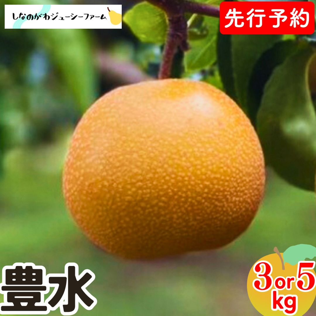 【ふるさと納税】 先行予約 和梨 豊水 約3kg・約5kg 令和8年度 選べる数量 新潟県 三条市産 梨 [しなのがわジューシーファーム]