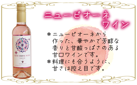 【2616-0478】岡山 花笑み農園 ピオーネ加工品3種セット『ラムピオーネジャム＆ピオーネワイン＆飲む酢』JWN